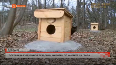 Къщички за бездомните животни поставят в пловдивския район Тракия