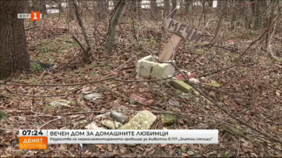 Нерегламентирано гробище за домашни любимци се разраства в природен парк край Варна