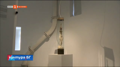 Скулптурната експозиция “Пластични метаморфози” на Георги Тодоров
