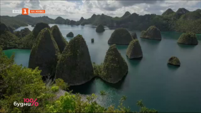 Разходка из тайнствените острови на Индонезия