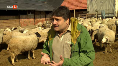 Последните мохикани на българското фермерство