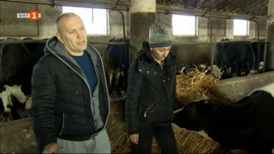 Бъдещето през погледа на фермерското семейство Венислава и Красимир Петкови от северняшкото село Тотлебен
