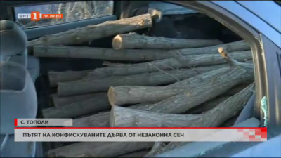 Пътят на конфискуваните дърва от незаконна сеч