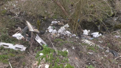Животински останки се изхвърлят край водоема на мездренско село