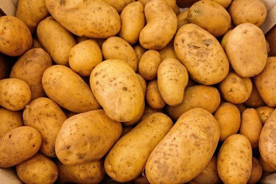 Ще останем ли без български картофи тази есен?