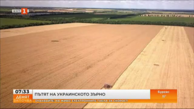 Пътят на украинското зърно