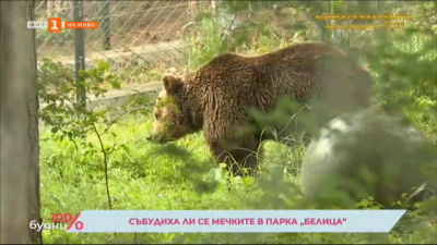 Събудиха ли се мечките в парка Белица