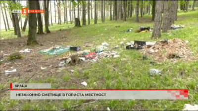 Нерегламентирано сметище в борова гора във Враца