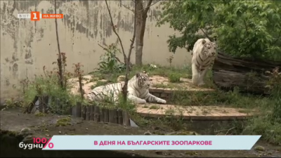 18 май - Ден на българските зоопаркове