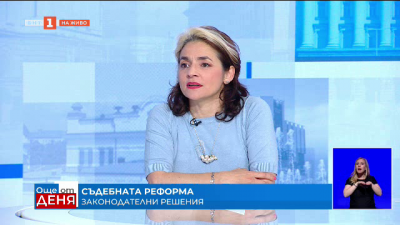 Според Биляна Гяурова-Вегертседер изваждането на следствието от прокуратурата е прекалено бързо