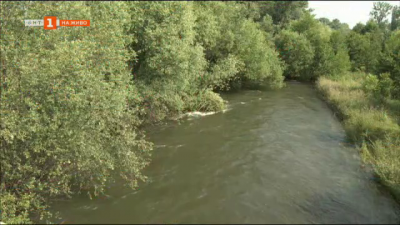 Непочистен участък на коритото на река Искър край София е опасен при проливни дъждове