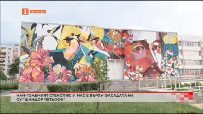 Стенописът върху фасадата на хасковското училище Шандор Петьофи е най-големият в страната