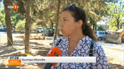 20 иглолистни дървета са застрашени във Варна заради изграждане на Зелена зона 