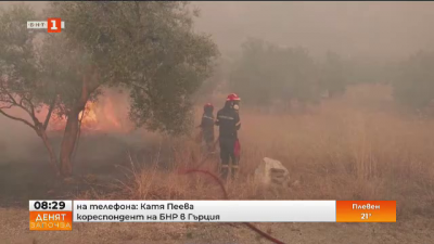 Към този час няма активно огнище в непосредствена близост до българската граница