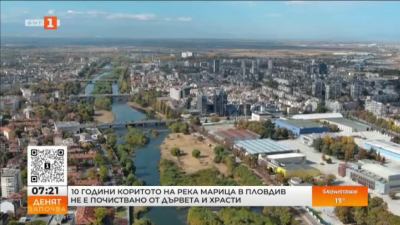 10 години коритото на река Марица в Пловдив не е почиствано от дървета и храсти
