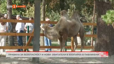 Правила за безопасност и нови обитатели в зоопарка в Павликени