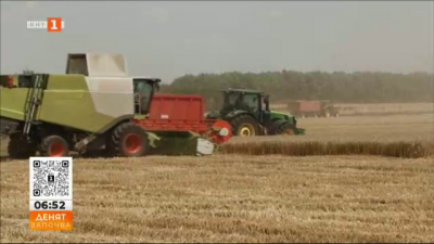 Трудна стопанска година за зърнопроизводителите - високи производствени разходи и ниски изкупни цени