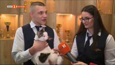 Коте стана талисман на гимназията по туризъм във Варна