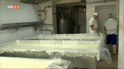 Мандра в Съединение пази вкуса на бялото саламурено сирене и българското джелато 