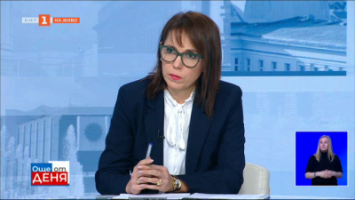 Гл. инсп. Зорница Шуманова: МВР работи активно по линия на домашното насилие от 16 години