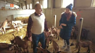 Как се ражда животът в една българска ферма