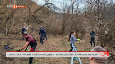 Приятели чистят и облагородяват природен парк Русенски Лом