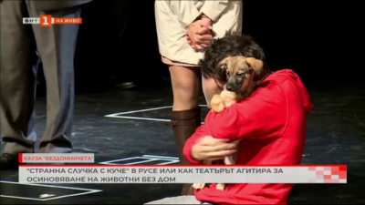 Странна случка с куче в Русе или как театърът агитира за осиновяване на животни без дом