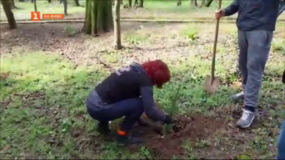 120 дръвчета бяха заседени в парк Аязмото в Стара Загора