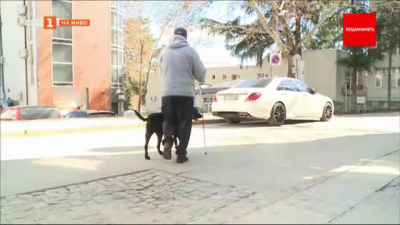 Кауза Бездомничета: Как едно куче успява да върне надеждата за живот на мъж, който губи зрението си