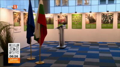 Фотоизложба за мечките от Белица в Европарламента в Брюксел 