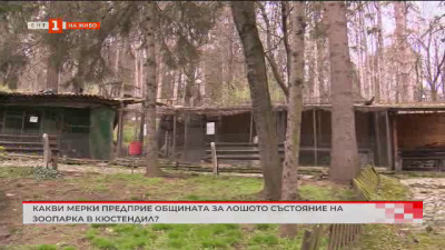Какви мерки предприе общината за състоянието на зоопарка в Кюстендил