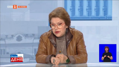 Татяна Дончева: Истинският провал на държавата започна, когато едни български политици качиха организираната престъпност на върха на държавата