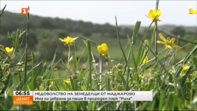 Недоволство на фермери и земеделци от Маджарово заради забрана за паша в Национален парк Рила