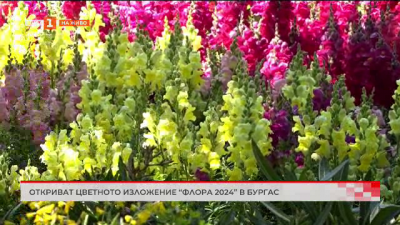 Откриват цветното изложение Флора 2024 на Лазаровден