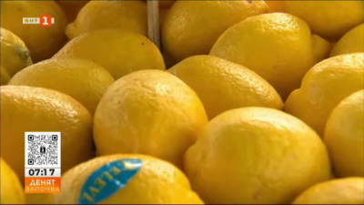Какво е качеството на лимоните на българския пазар