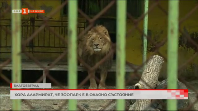 Зоопаркът в Благоевград е в окаяно състояние