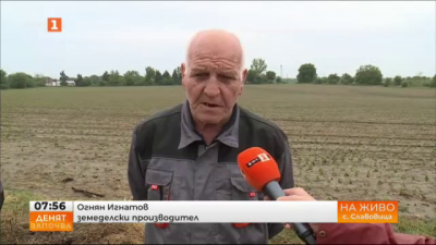 След опустошителната градушка в плевенско - какви са щетите по земеделските земи в село Славовица? 