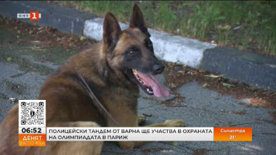 Полицейски кучета ще охраняват Олимпиадата 