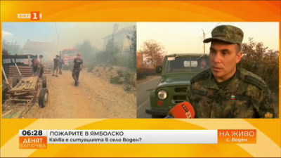 Подполковник Иван Иванов: Огнищата на пожари са локализирани и изолирани край село Воден