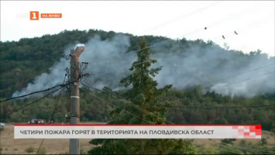Четири пожара горят в територията на Пловдивска област