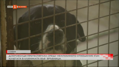 Доброволци протестираха срещу нехуманното отношение към кучетата в клиниката във Връбница