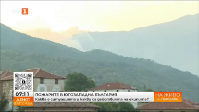 Пожарите в Югозападна България - каква е ситуацията и какви са действията на екипите? 