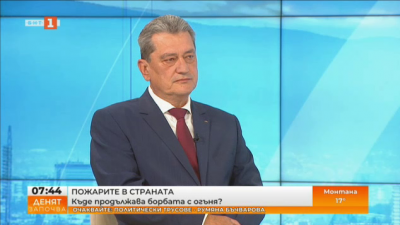 Николай Николов: На 80% е овладян пожарът в общините Харманли и Тополовград