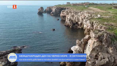 Днес отбелязваме Международния ден на Черно море