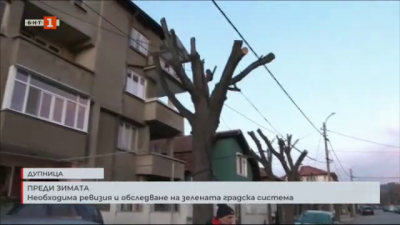 Необходима ревизия и обследване на зелената градска система в Дупница