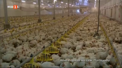 На гости в модерната птицеферма в троянското село Врабево