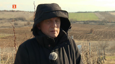 Как се справят производителите на качествени български вина?