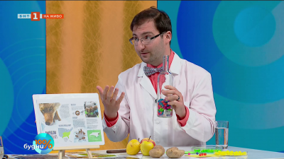 Червеният вълк е най-застрашеният хищник в САЩ 