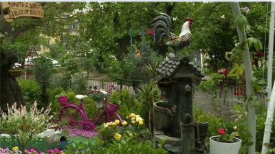 Семейство се грижи за пространството пред блока, като сади стотици растения