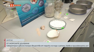 Лаборатория извлича полезни вещества от черупки на миди и рапани